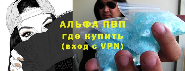 индика Медвежьегорск