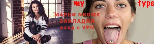 индика Медвежьегорск