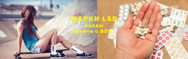 индика Медвежьегорск