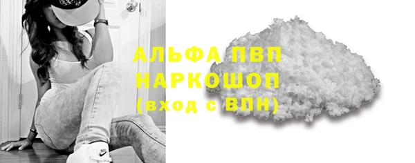 индика Медвежьегорск