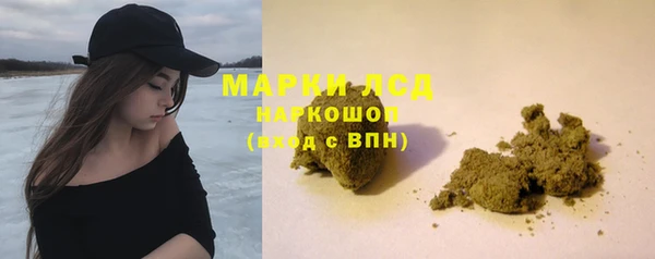 индика Медвежьегорск