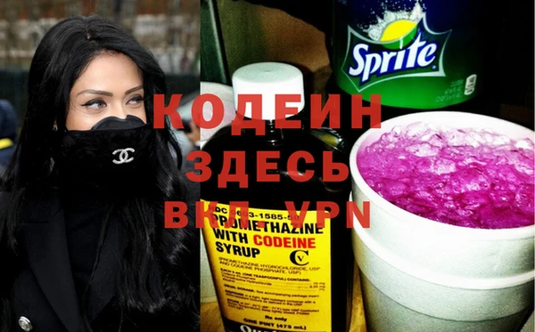 apvp Бердск