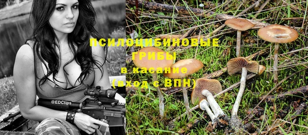 индика Медвежьегорск