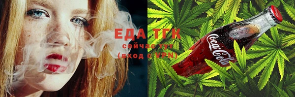 индика Медвежьегорск