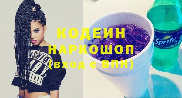 молекула духа Майский