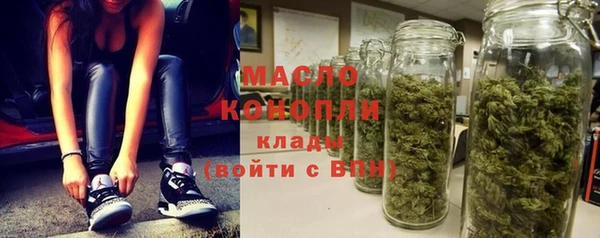индика Медвежьегорск