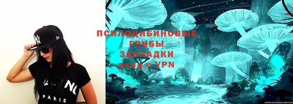 СК Мегион